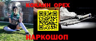 apvp Бердск
