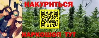 apvp Бердск