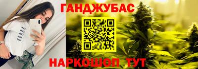apvp Бердск