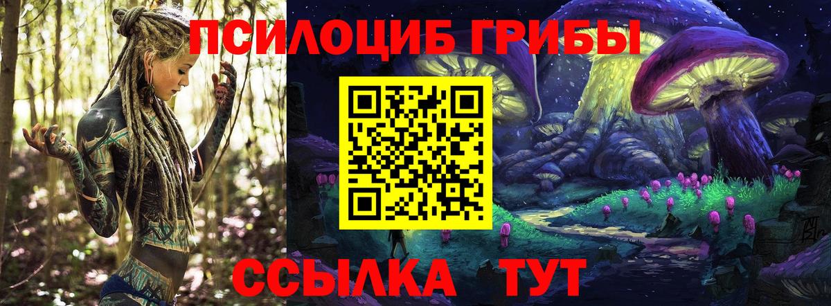 Городец  Псилоцибиновые грибы прущие грибы  Вход с VPN  Псилоцибиновые грибы MAGIC MUSHROOMS 