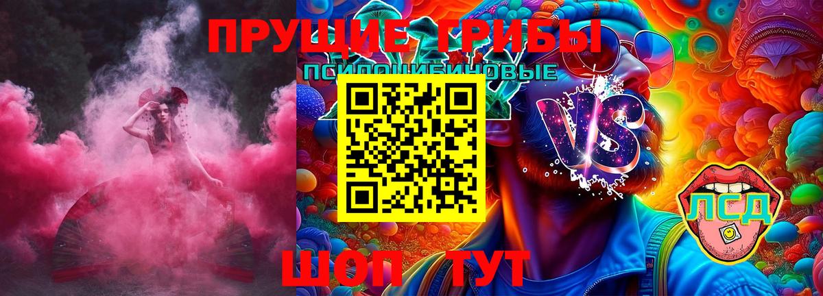 Галлюциногенные грибы Psilocybe Городец